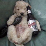 Telegram profile photo for Переходник.ехе