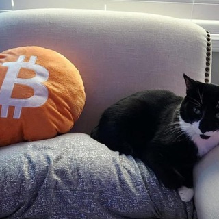 Telegram profile photo for Top Bets