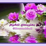 Telegram profile photo for 🍃🌸 بهترینهای تلگرام 🌸🍃