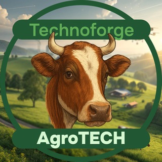 Telegram profile photo for TechnoForge МИЭМ НИУ ВШЭ