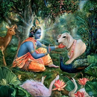 Telegram profile photo for Hinduism related songs and more🌺🙏🌸🕉