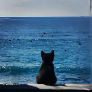 Telegram profile photo for ʍᴏя ᴋᴏʍнᴀᴛᴀ
