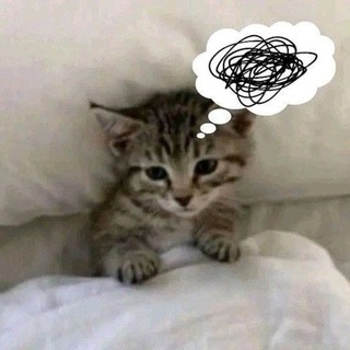 Telegram profile photo for Белые ночи