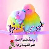 Telegram profile photo for ♪طـ🎶ـيور♪العشـ🎶ـق♪