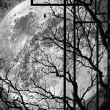 Telegram profile photo for ☠TheKHol1kulov_08☠
