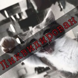 Telegram profile photo for Пøмoйкā 48🦐+//