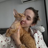 Telegram profile photo for го 200 до нг