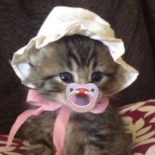 Telegram group profile photo for 🌼 Без ботов | Пиар-чат для всего
