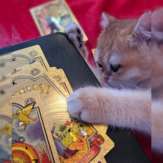 Telegram profile photo for Ой, всё.. 🕯 Доставай Таро!