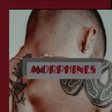 Telegram profile photo for Morphines