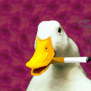 Telegram profile photo for декабрь и точка