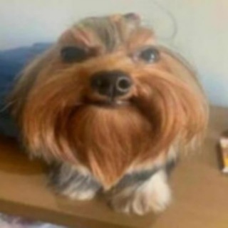 Telegram profile photo for 🌈подвал p0n4ek'а