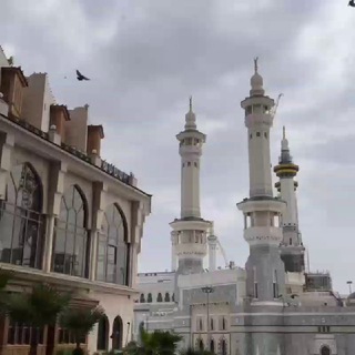 Telegram profile photo for أبو إسحاق الموصلي