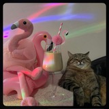 Telegram profile photo for Отзывы