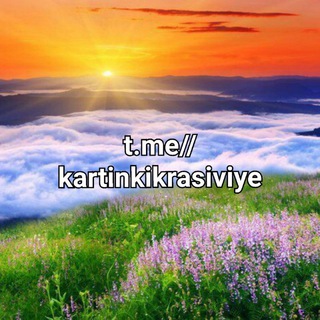 Telegram profile photo for Красивые картинки
