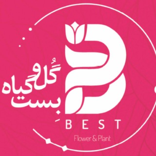 Telegram profile photo for گل و گیاه بِستBEST