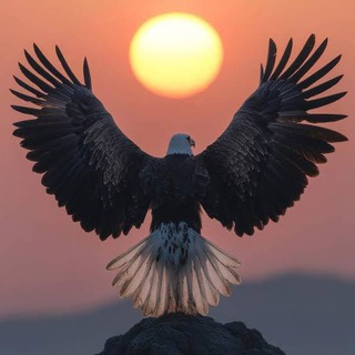 Telegram profile photo for KARTAL ÜRETİM
