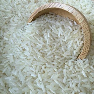 Telegram profile photo for شالیزارهای گیلان