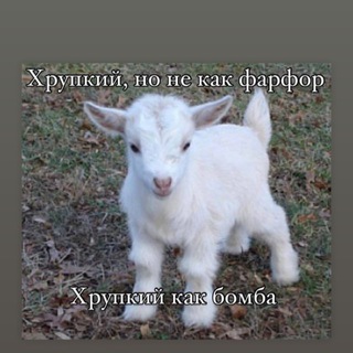 Telegram profile photo for ЖАДИНА