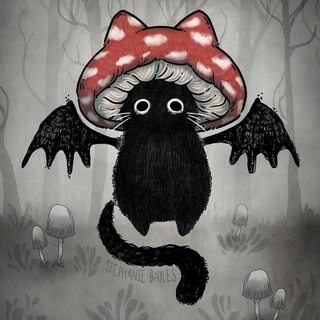 Telegram profile photo for MUSHROOMS and more...