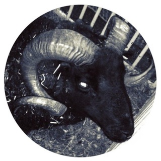 Telegram profile photo for キᅠ ℐꪀᠻ᥆.ᅠ