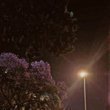 Telegram profile photo for ضلال ضائعة