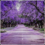 Telegram profile photo for PRETORIA, GAUTENG, SA