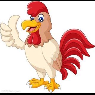 Telegram profile photo for 合肥鸡哥🐔最强修车🚗