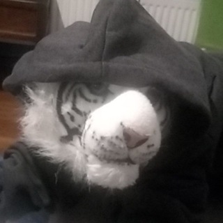 Telegram profile photo for huente oraz miłe rzeczy