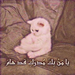 Telegram profile photo for قناة || لماذا أنا 😎✌️📿