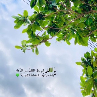 Telegram profile photo for اقتباسات عبارات اشعار