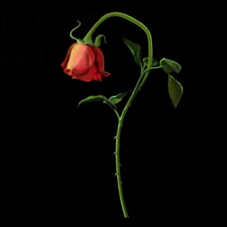 Telegram profile photo for the broken heart