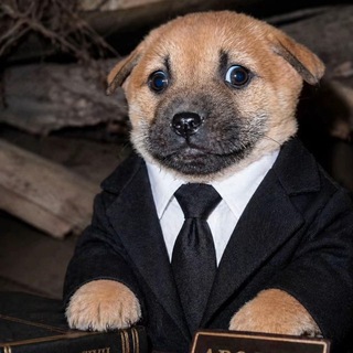 Telegram profile photo for фиолетовые отходы