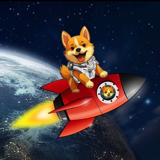 Telegram group profile photo for STARSHIP DOGE GLOBAL GROUP