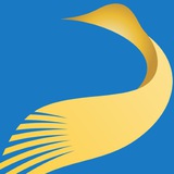 Telegram profile photo for Libertarianism.org