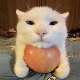 Telegram profile photo for звезды в кармане