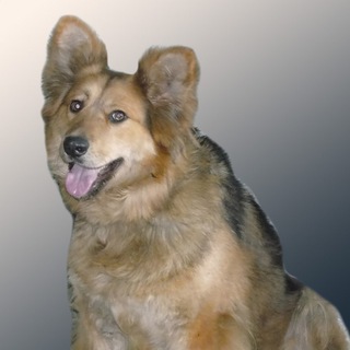Telegram profile photo for Воркутинский друг