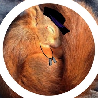 Telegram profile photo for ㅤ˖ 𝗬𝗲𝘀, 𝗜'𝗺 𝗮 𝗳𝗮𝗻! 𝟭𝟱.𝟬𝟳.день вп