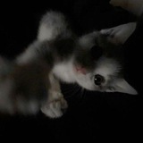 Telegram profile photo for parlam3nt zbs (давление)