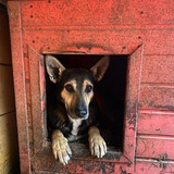 Telegram profile photo for Приют_в_косме