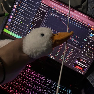 Telegram profile photo for Profit in this room? (V3n0K)