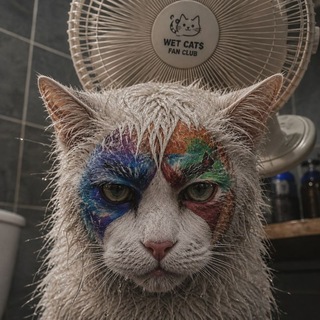 Telegram profile photo for (Wet Cat$ fans) گربه های نرم