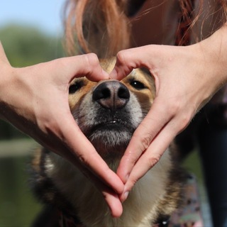 Telegram profile photo for Жизнь девочки с собачкой🐾🩷