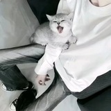 Telegram profile photo for 郁王府