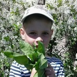 Telegram profile photo for Вано на связи