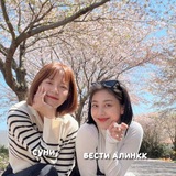 Telegram profile photo for ПЕРЕЕЗД|suni| 喫茶店