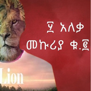 Telegram profile photo for D Lion ዲ ላየን