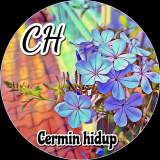 Telegram profile photo for Cerminhidup Channel