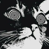 Telegram profile photo for Aviothic.