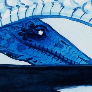 Telegram profile photo for orca dance